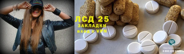 тгк Алзамай