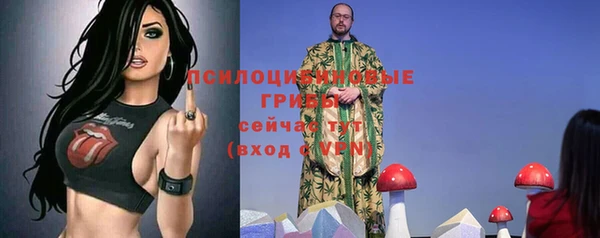 тгк Алзамай