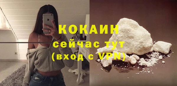 тгк Алзамай