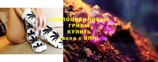 ешки Михайлов