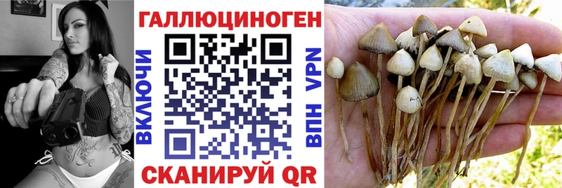 кракен ТОР  Сельцо  Галлюциногенные грибы GOLDEN TEACHER 